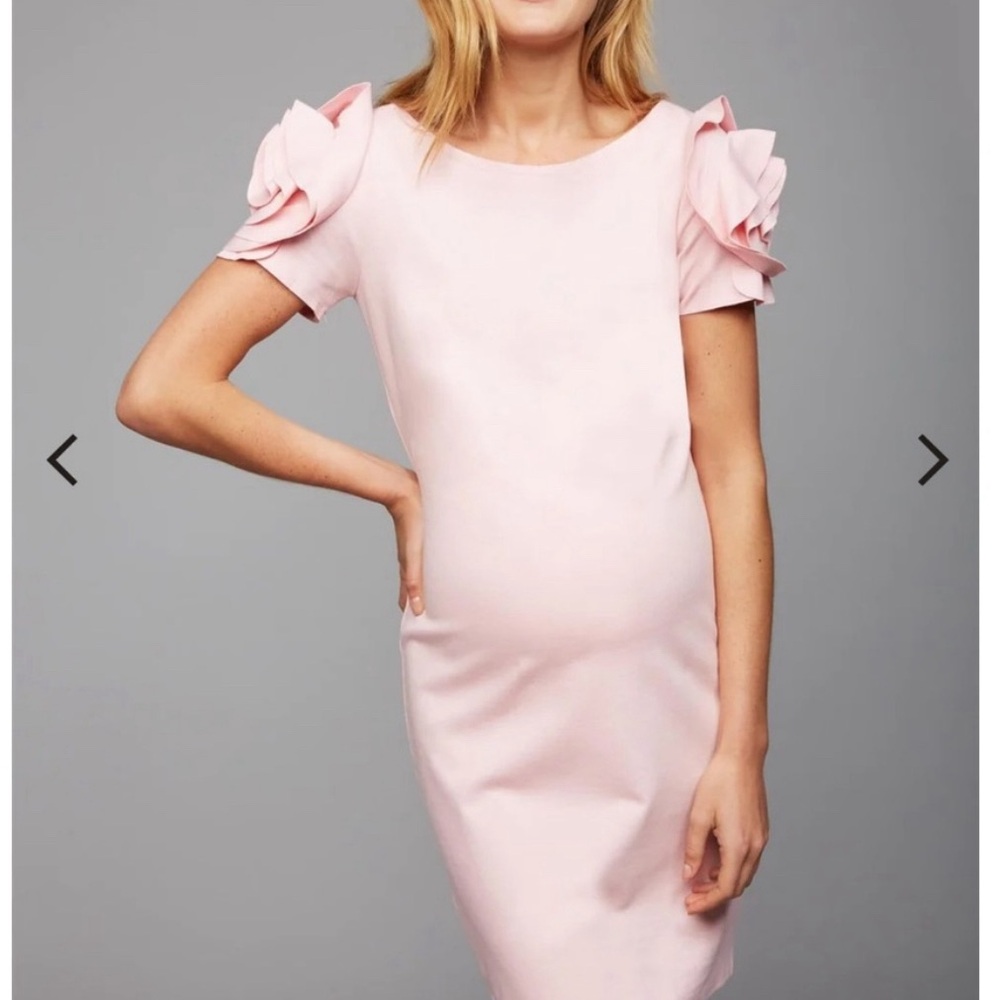 A Pea in the Pod X Pietro Brunelli maternity dress